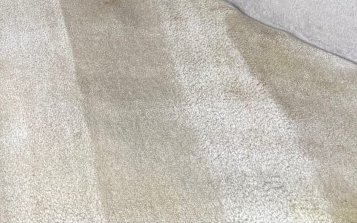 Carpet stain treatment after a Sudz detail