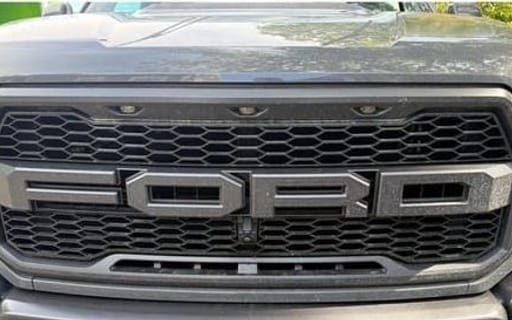 Ford Raptor grille before detailing